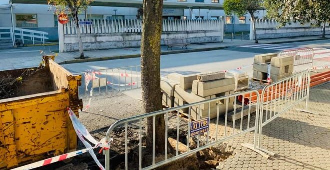 El Ayuntamiento denuncia el envenenamiento de una encina frente al Hospital Comarcal