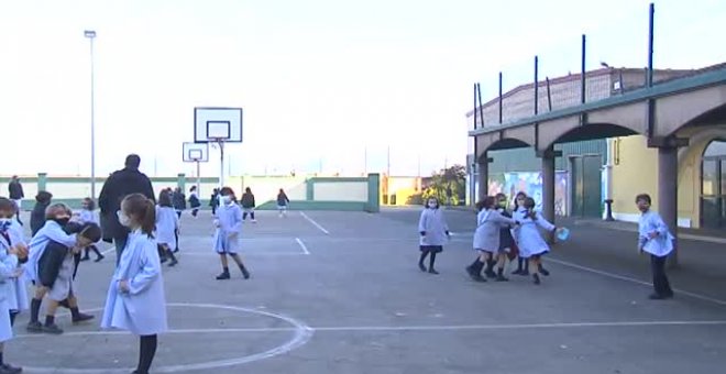 Las gaviotas comen ahora los restos de comida que dejan los niños en el recreo