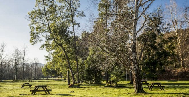 Mare reforzará la biodiversidad de La Viesca eliminando los árboles dañados