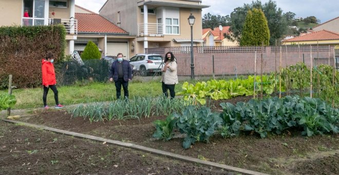 Creada una comisión de seguimiento y mejoras para los huertos urbanos