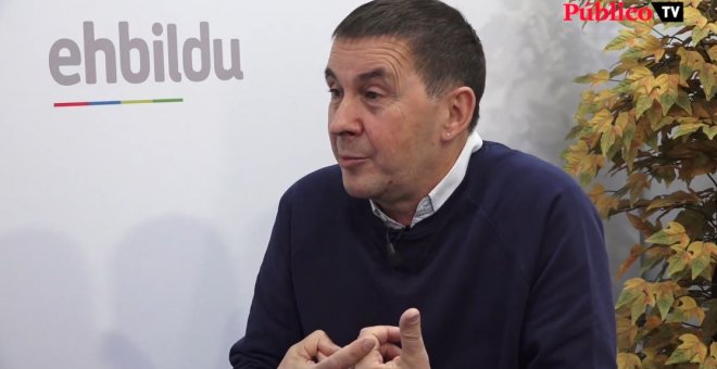 Otegi: "Nosotros somos independentistas, no aspiramos a dirigir el Estado español"