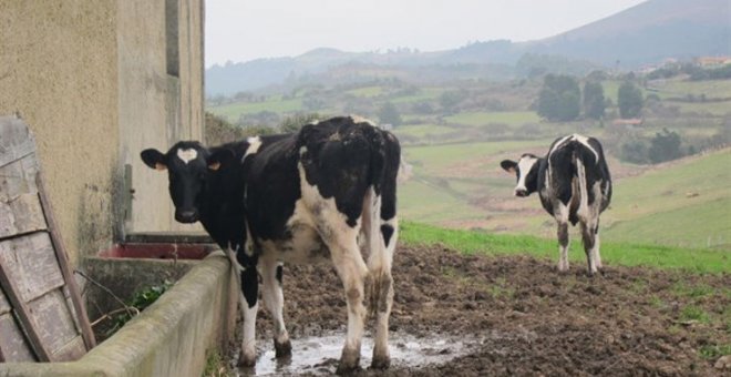 El Gobierno convoca las ayudas a los ayuntamientos para obras nuevas y mejora de las infraestructuras agrarias