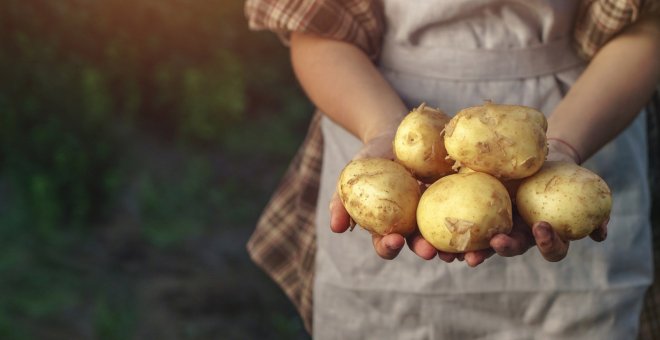 Otras miradas - La palabra patata y lo que nos cuenta sobre nuestra historia