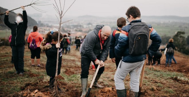 El Ayuntamiento plantará 300 nuevos cerezos junto al polígono Mies de Molladar