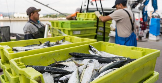 Cantabria aboga por vacunar de manera prioritaria a los pescadores