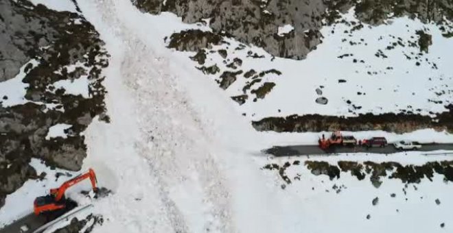 Un alud de grandes dimensiones corta la carretera de acceso a la localidad cántabra de Tresviso