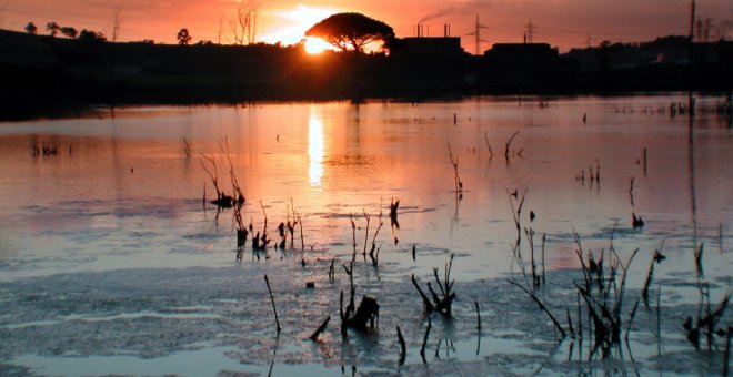 El Ayuntamiento participa en el VIII Premio a las Buenas Prácticas Locales por el Clima