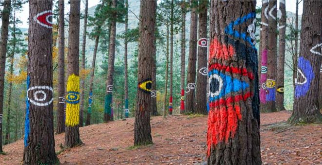 Maneras de mirar un bosque