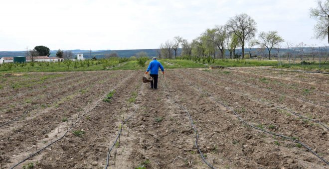 Unos 680.000 agricultores y ganaderos podrán solicitar desde el 1 de febrero las ayudas directas de la PAC