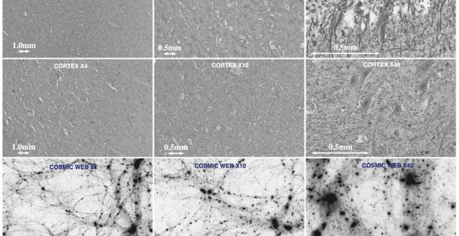 Otras miradas - Cerebro y universo: ¿evolucionan de la misma forma?