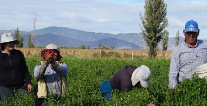 Otras miradas - Hortalizas ancestrales para el futuro de una dieta saludable