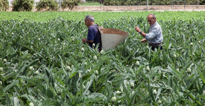 València declara la guerra a las tierras abandonadas para salvar la huerta como espacio agrícola