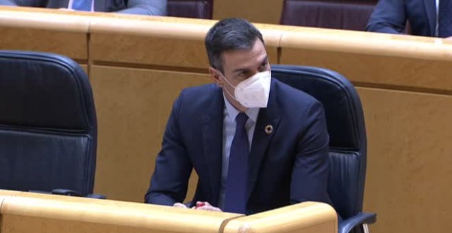 Pedro Sánchez comparece en el Senado para responder sobre Catalunya y la luz