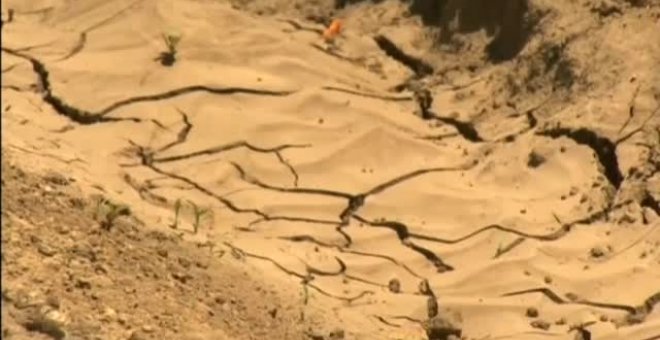 Cada vez más empresas se suman al compromiso de funcionar libres de emisiones contaminantes