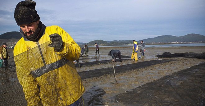 Convocados 60.000 euros de ayudas a cooperativas y asociaciones de pesca y marisqueo