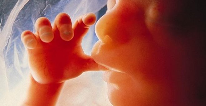 La placenta es un 'vertedero' de defectos genéticos que ayuda al feto a evitarlos o corregirlos