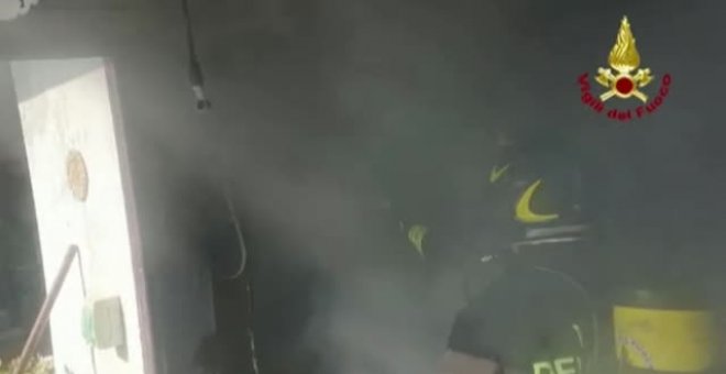 Los bomberos rescatan y reaniman a un gato en un incendio en Italia