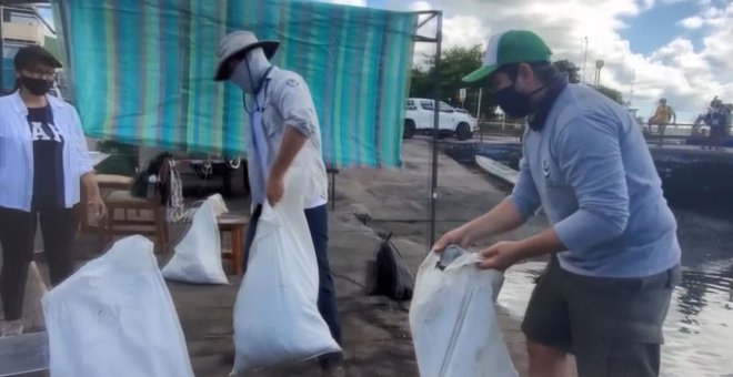 Extraen más de 2.200 kg de basuras del fondo del mar