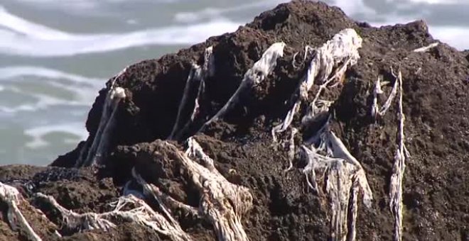 Invasión de toallitas higiénicas en las rocas de Javea