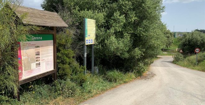 Un toro escapado de una ganadería hiere a dos mujeres, una grave, en Sevilla