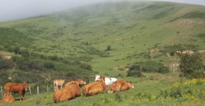 La primera Escuela de Pastoras del Siglo XXI nace en Cantabria