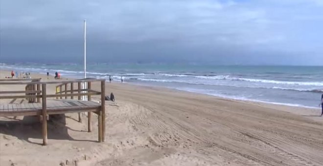 Invasión de medusas en los arenales de Alicante y Palma de Mallorca