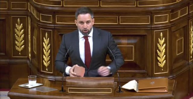 Abascal saca un adoquin en el Congreso y culpa a Marlaska y UP de estar detrás de los ataques a Vox