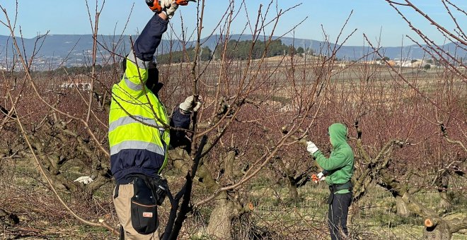 Els ateneus cooperatius acompanyen gairebé 900 projectes d’economia social el 2020, malgrat la pandèmia