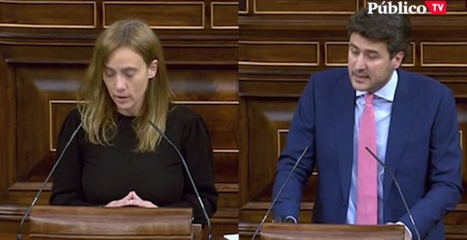 La rotunda respuesta del PSOE a Vox sobre la Ley de Bienestar Animal