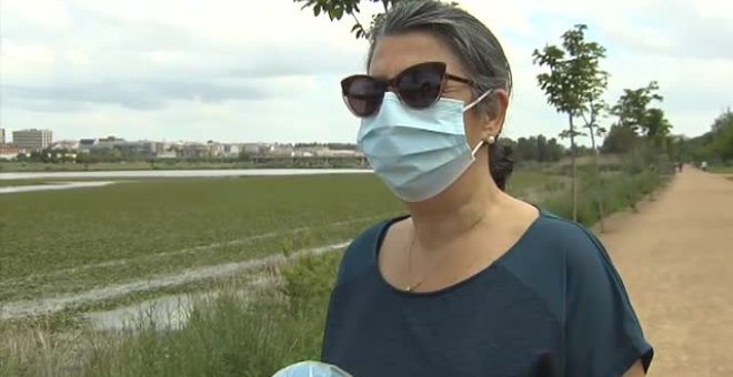 Los nenúfares mexicanos invaden el Guadiana a su paso por Badajoz