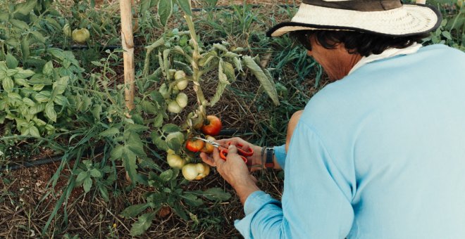 Ideas para cambiar el mundo desde una isla: siete proyectos sostenibles de Ibiza