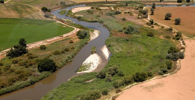 Otras miradas - Medio ambiente, salud y calidad vida: ¿Qué partidos apuestan por políticas verdes?