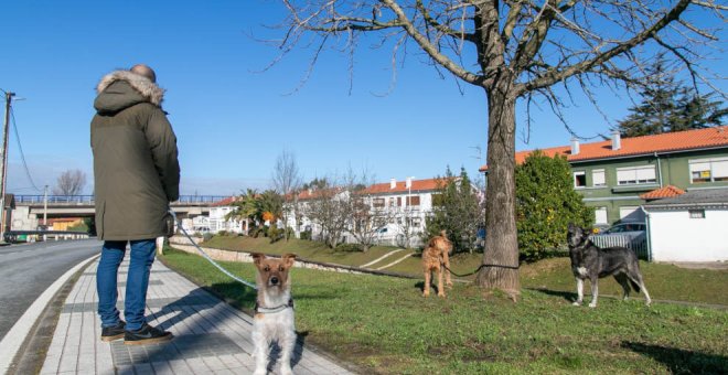 El Tribunal Superior de Justicia desestima un recurso que pretendía impugnar la Ordenanza de Bienestar Animal