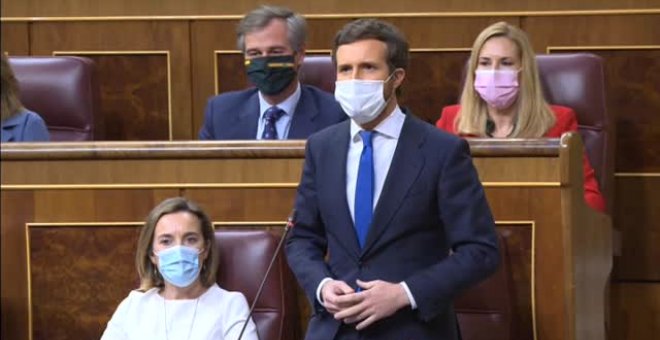 Casado a Sánchez: "Deje de meter la cabeza en el suelo como una avestruz porque su empecinamiento cuesta vidas"