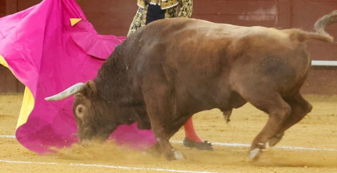 Datxu Peris: "Se puede llamar matador al torero que mata, pero no decir que es asesino cuando asesina"