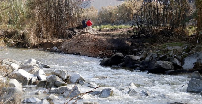 La fràgil salut del Besòs es recupera dels vessaments químics