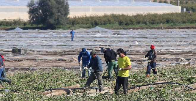 La paradoja de Almería: la agricultura de invernadero más potente en los pueblos con la renta más baja de España