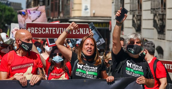 Organizaciones animalistas exigen en Madrid el "rescate inmediato" de los animales de Vivotecnia