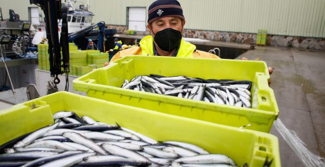 La campaña de la anchoa se cerrará este lunes al haber alcanzado casi el 90% de la cuota