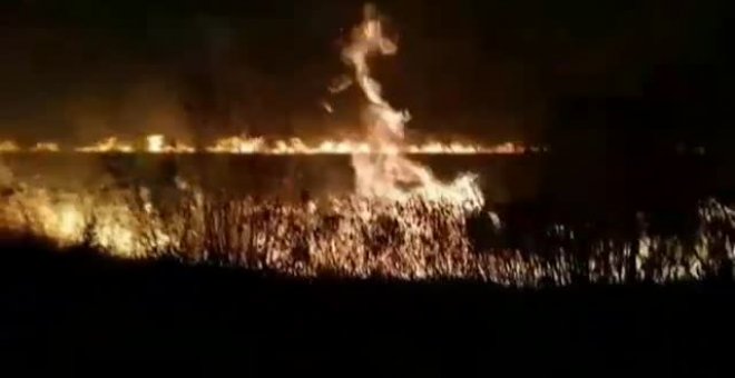 Bolivia, en alerta por los incendios en sus humedales más preciados