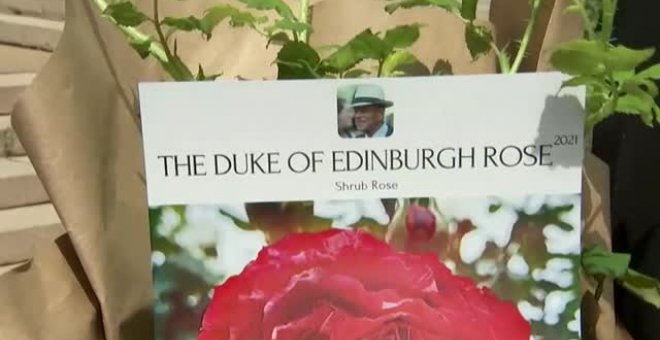 La Reina de Inglaterra recibe una rosa conmemorativa con el nombre del Duque de Edimburgo