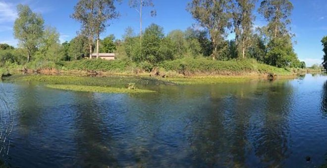 Ecologistas en Acción alega para que se suspenda la construcción del embarcadero en la ría de Cubas