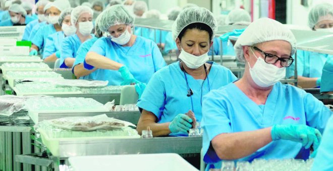 Sanidad considera que no existe "ninguna urgencia epidemiológica" para vacunar al sector conservero