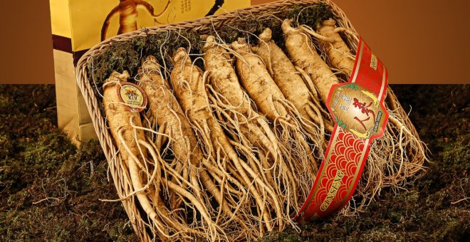 ¿Qué es el ginseng? Beneficios y posibles efectos secundarios