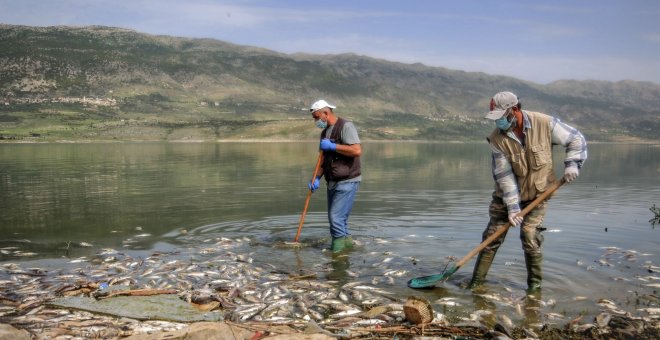 La Eurocámara da luz verde al acuerdo para la neutralidad climática en 2050