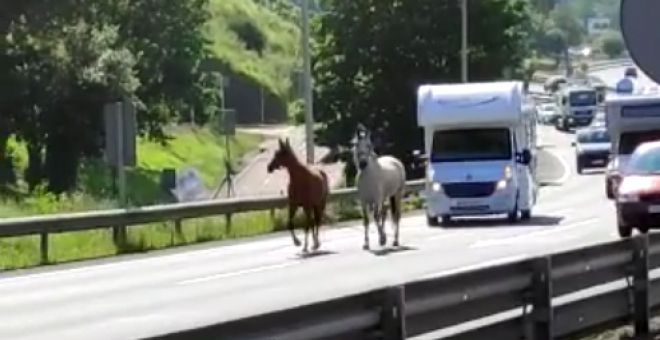 Dos caballos pasean por la A-8 a la vista de todos