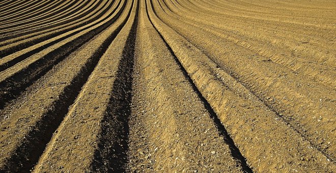 Ecologismo de emergencia - Suelo fértil, un bien común en riesgo severo