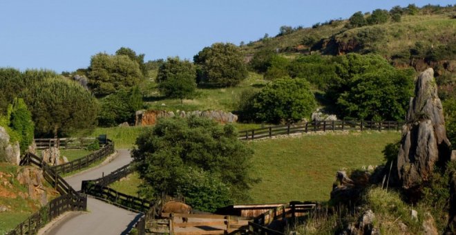 Planes con niños que no te puedes perder este verano en Cantabria