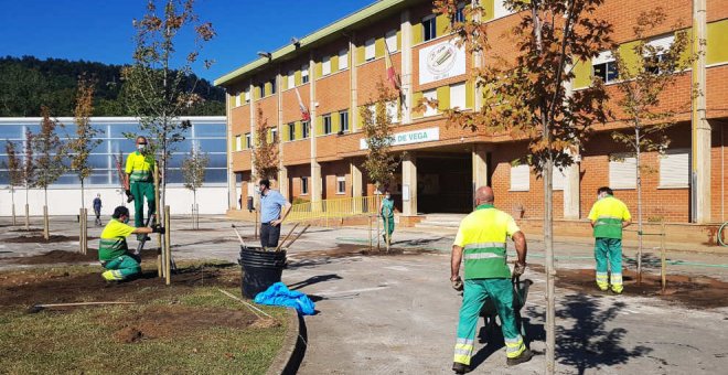 La Comisión de Medio Ambiente informa favorablemente el Plan de Gestión de Zonas Verdes