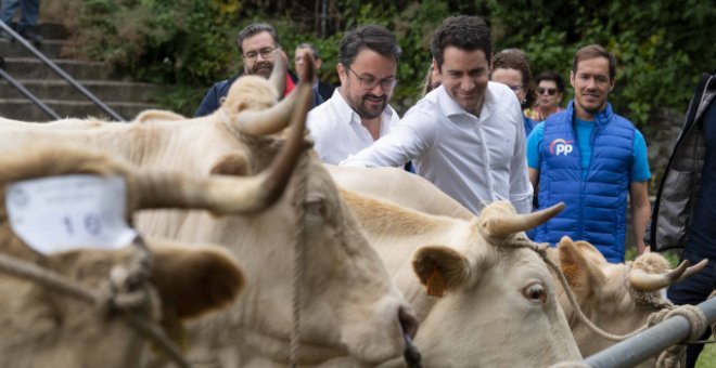 De la barbacoa en redes a la reprobación en el Congreso: el PP dirige una ofensiva contra Garzón para dividir al Gobierno